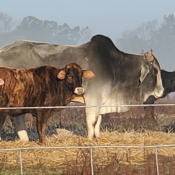 Meet your Posher, Tina - Picture 1 of 1